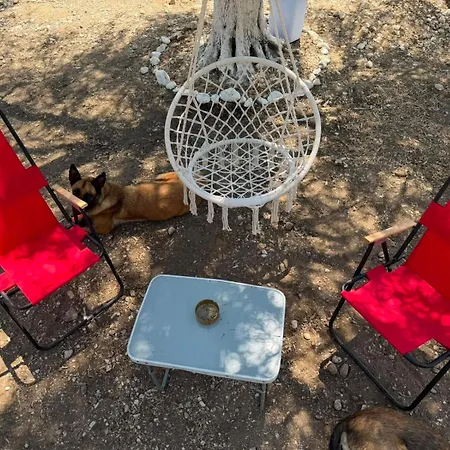 Campsite Seagrove